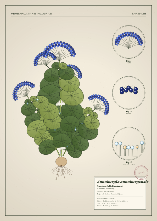 Botanische Tafel: Annaburgia annaburgensis, eine erfundene Pflanze aus Annaburg, gezeichnet wie in einem alten Pflanzenatlas