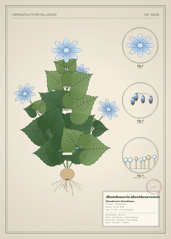 Botanische Tafel: Abentheueria abentheuerensis, eine erfundene Pflanze aus Abentheuer, gezeichnet wie in einem alten Pflanzenatlas