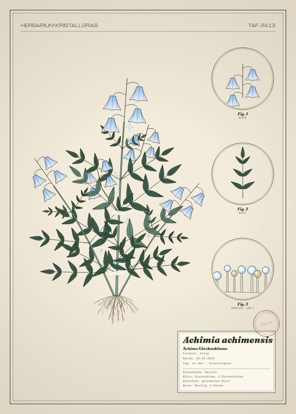 Botanische Tafel: Achimia achimensis, eine erfundene Pflanze aus Achim, gezeichnet wie in einem alten Pflanzenatlas