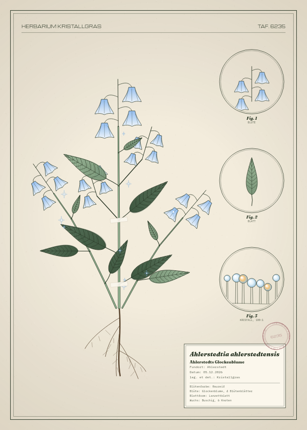 Botanische Tafel: Ahlerstedtia ahlerstedtensis, eine erfundene Pflanze aus Ahlerstedt, gezeichnet wie in einem alten Pflanzenatlas