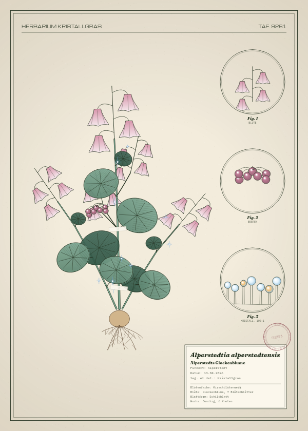 Botanische Tafel: Alperstedtia alperstedtensis, eine erfundene Pflanze aus Alperstedt, gezeichnet wie in einem alten Pflanzenatlas