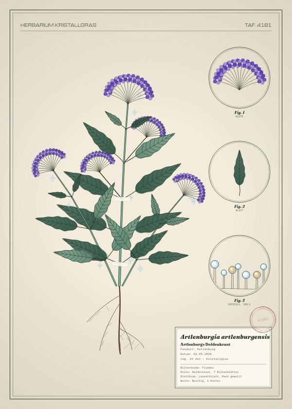 Botanische Tafel: Artlenburgia artlenburgensis, eine erfundene Pflanze aus Artlenburg, gezeichnet wie in einem alten Pflanzenatlas