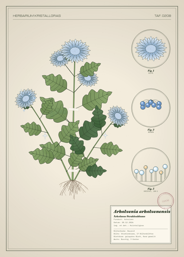 Botanische Tafel: Arholzenia arholzenensis, eine erfundene Pflanze aus Arholzen, gezeichnet wie in einem alten Pflanzenatlas
