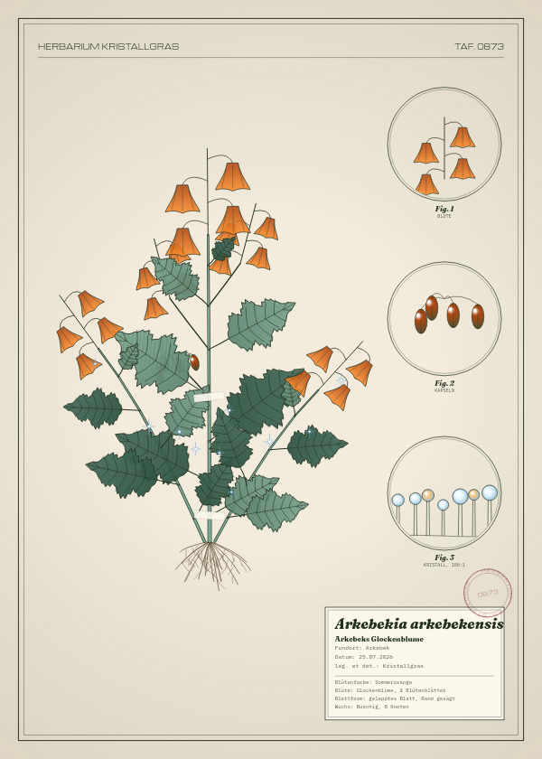 Botanische Tafel: Arkebekia arkebekensis, eine erfundene Pflanze aus Arkebek, gezeichnet wie in einem alten Pflanzenatlas