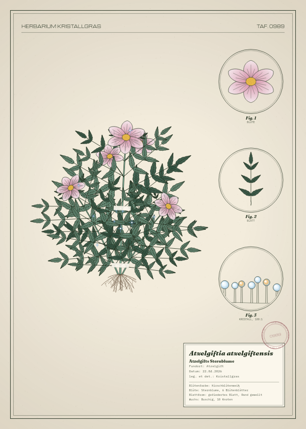 Botanische Tafel: Atzelgiftia atzelgiftensis, eine erfundene Pflanze aus Atzelgift, gezeichnet wie in einem alten Pflanzenatlas