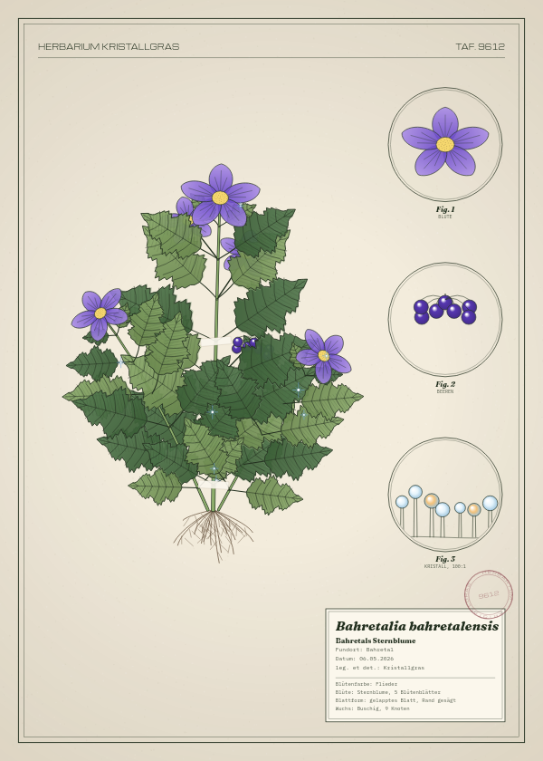 Botanische Tafel: Bahretalia bahretalensis, eine erfundene Pflanze aus Bahretal, gezeichnet wie in einem alten Pflanzenatlas