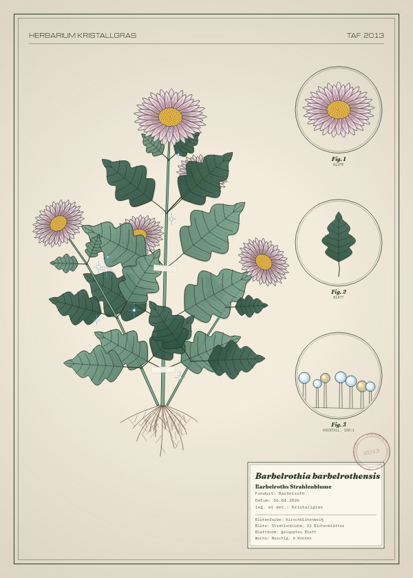 Botanische Tafel: Barbelrothia barbelrothensis, eine erfundene Pflanze aus Barbelroth, gezeichnet wie in einem alten Pflanzenatlas