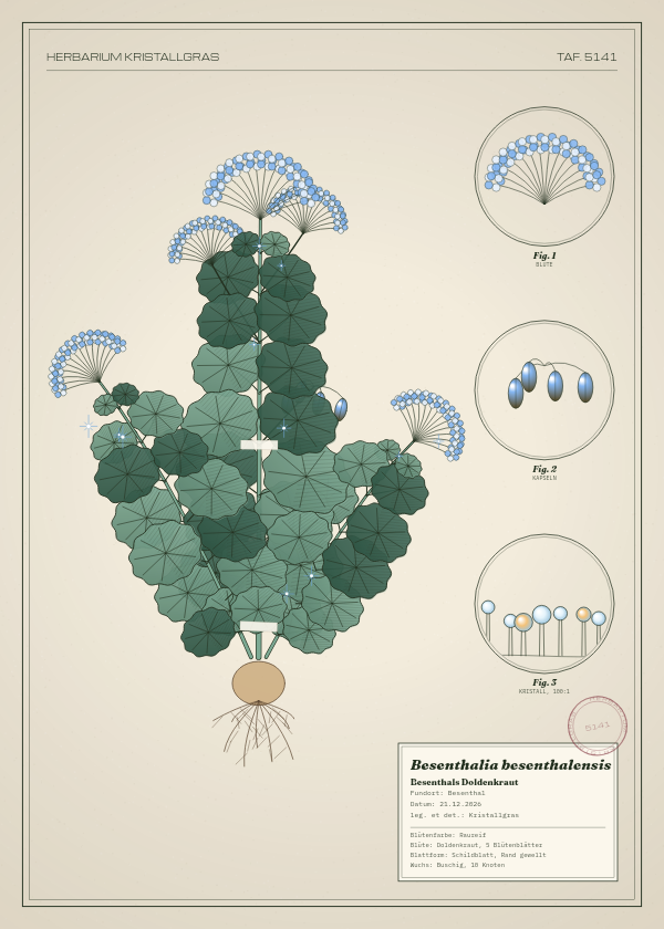 Botanische Tafel: Besenthalia besenthalensis, eine erfundene Pflanze aus Besenthal, gezeichnet wie in einem alten Pflanzenatlas