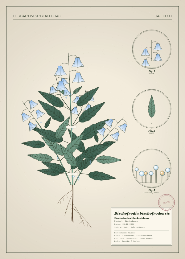 Botanische Tafel: Bischofrodia bischofrodensis, eine erfundene Pflanze aus Bischofroda, gezeichnet wie in einem alten Pflanzenatlas