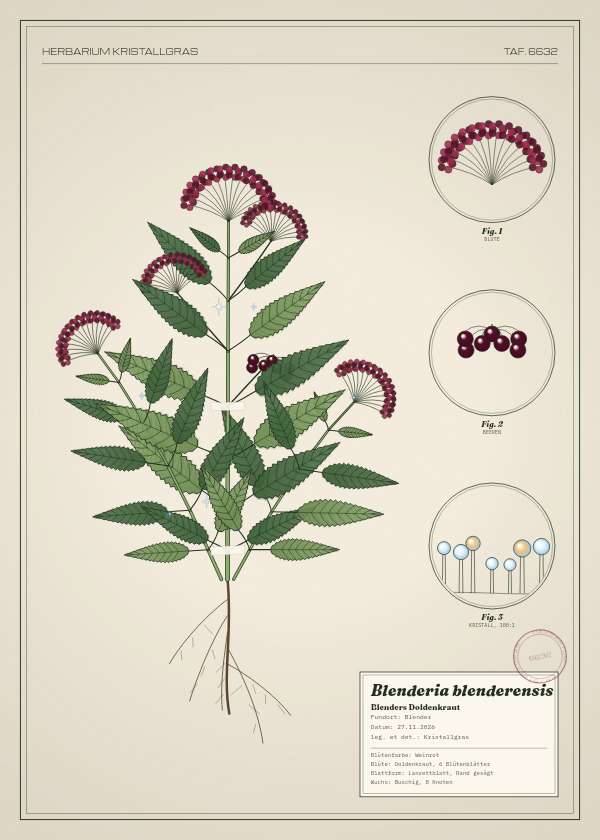Botanische Tafel: Blenderia blenderensis, eine erfundene Pflanze aus Blender, gezeichnet wie in einem alten Pflanzenatlas