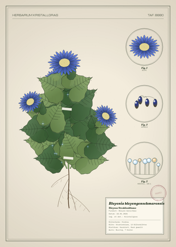 Botanische Tafel: Bleyenia bleyengenschmarensis, eine erfundene Pflanze aus Bleyen-Genschmar, gezeichnet wie in einem alten Pflanzenatlas