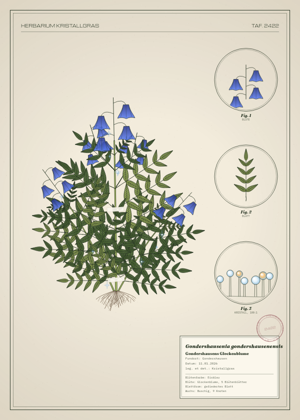 Botanische Tafel: Gondershausenia gondershausenensis, eine erfundene Pflanze aus Gondershausen, gezeichnet wie in einem alten Pflanzenatlas