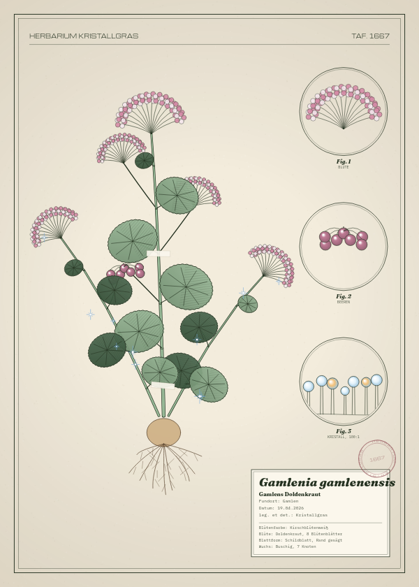 Botanische Tafel: Gamlenia gamlenensis, eine erfundene Pflanze aus Gamlen, gezeichnet wie in einem alten Pflanzenatlas