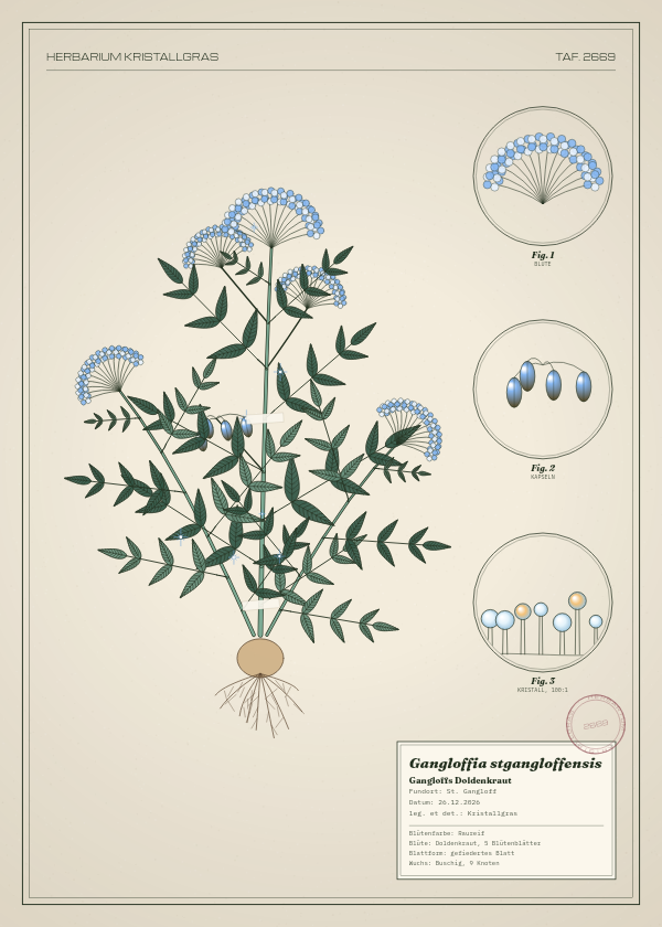 Botanische Tafel: Gangloffia stgangloffensis, eine erfundene Pflanze aus St. Gangloff, gezeichnet wie in einem alten Pflanzenatlas