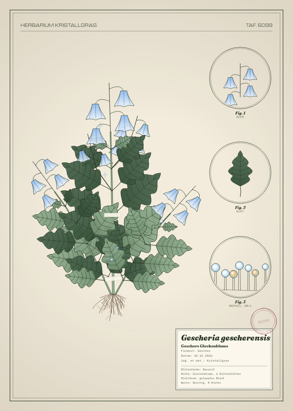 Botanische Tafel: Gescheria gescherensis, eine erfundene Pflanze aus Gescher, gezeichnet wie in einem alten Pflanzenatlas