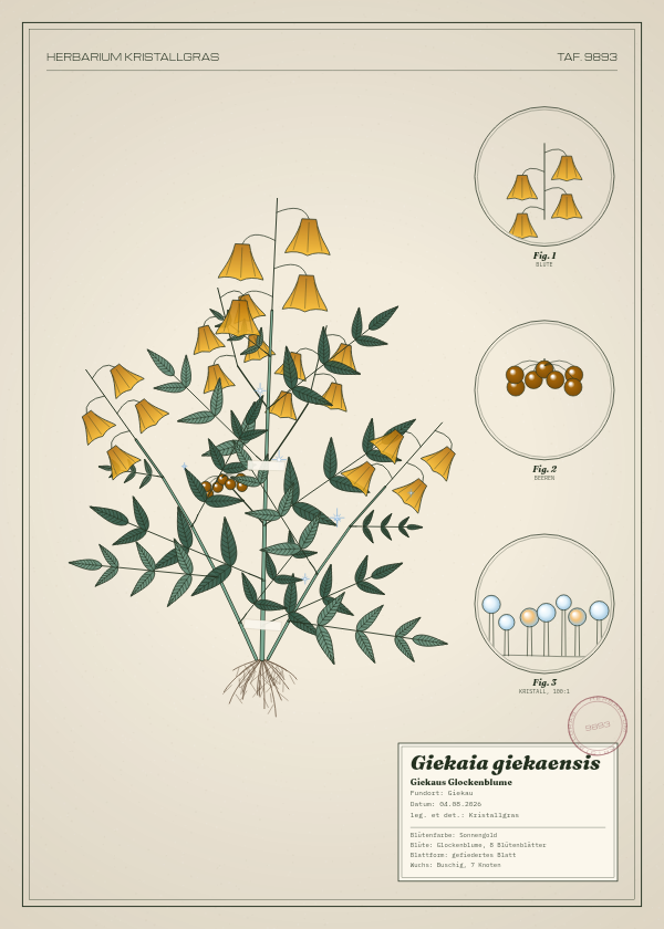 Botanische Tafel: Giekaia giekaensis, eine erfundene Pflanze aus Giekau, gezeichnet wie in einem alten Pflanzenatlas