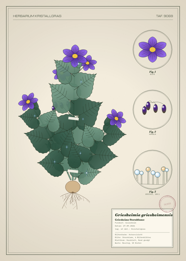 Botanische Tafel: Griesheimia griesheimensis, eine erfundene Pflanze aus Griesheim, gezeichnet wie in einem alten Pflanzenatlas