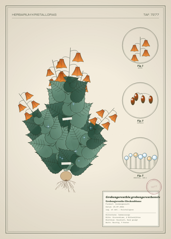Botanische Tafel: Grobengereuthia grobengereuthensis, eine erfundene Pflanze aus Grobengereuth, gezeichnet wie in einem alten Pflanzenatlas