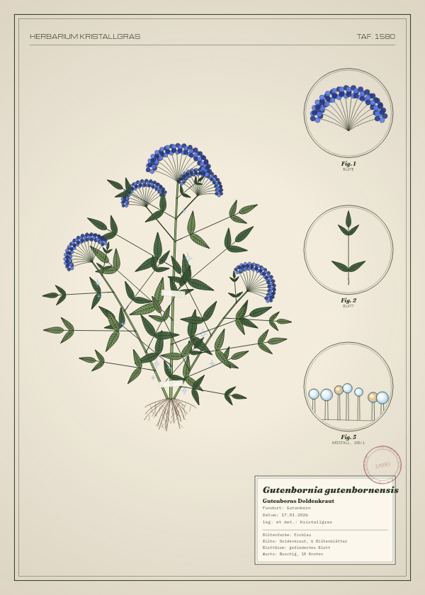 Botanische Tafel: Gutenbornia gutenbornensis, eine erfundene Pflanze aus Gutenborn, gezeichnet wie in einem alten Pflanzenatlas
