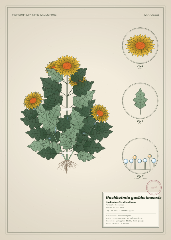Botanische Tafel: Guckheimia guckheimensis, eine erfundene Pflanze aus Guckheim, gezeichnet wie in einem alten Pflanzenatlas