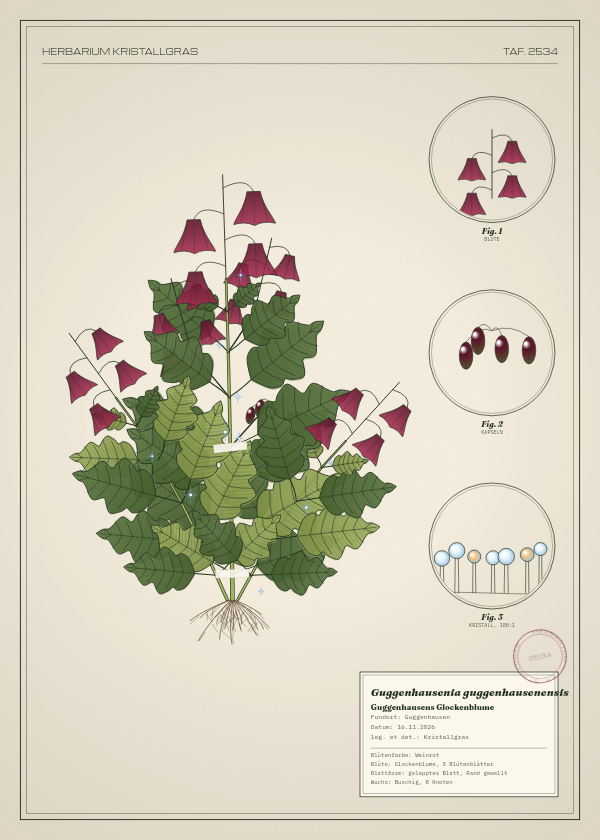 Botanische Tafel: Guggenhausenia guggenhausenensis, eine erfundene Pflanze aus Guggenhausen, gezeichnet wie in einem alten Pflanzenatlas