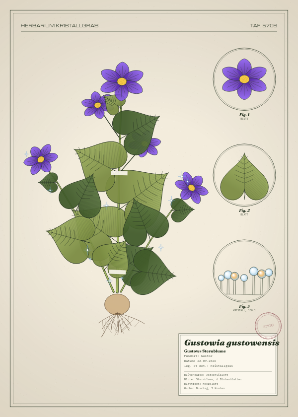 Botanische Tafel: Gustowia gustowensis, eine erfundene Pflanze aus Gustow, gezeichnet wie in einem alten Pflanzenatlas