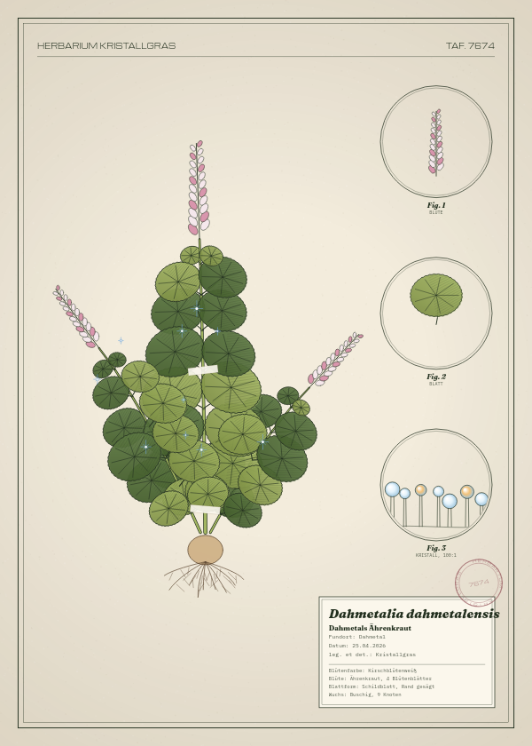 Botanische Tafel: Dahmetalia dahmetalensis, eine erfundene Pflanze aus Dahmetal, gezeichnet wie in einem alten Pflanzenatlas