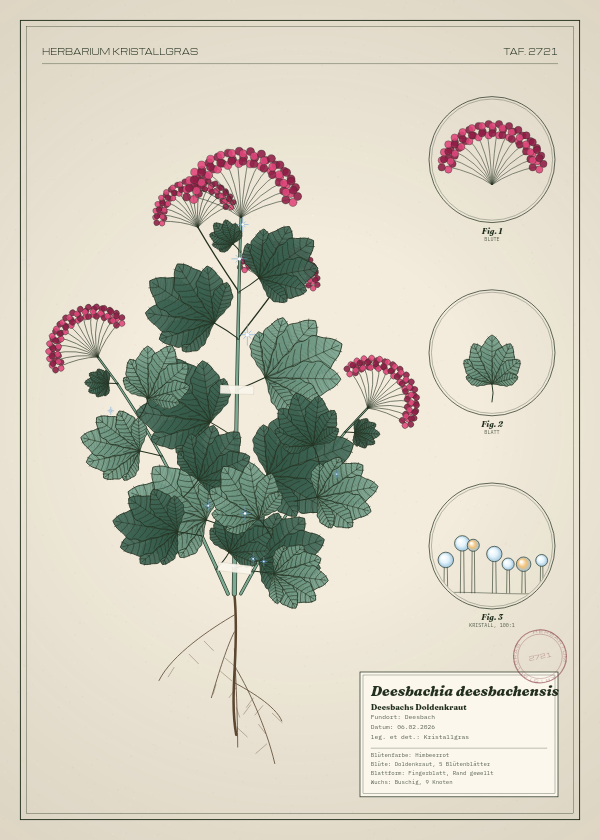 Botanische Tafel: Deesbachia deesbachensis, eine erfundene Pflanze aus Deesbach, gezeichnet wie in einem alten Pflanzenatlas