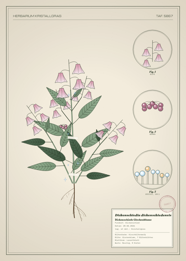 Botanische Tafel: Dickenschiedia dickenschiedensis, eine erfundene Pflanze aus Dickenschied, gezeichnet wie in einem alten Pflanzenatlas