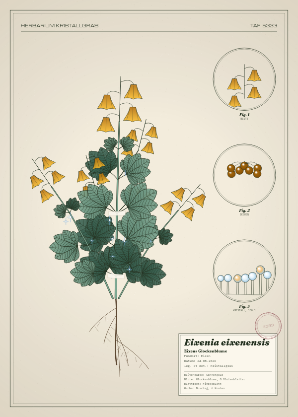 Botanische Tafel: Eixenia eixenensis, eine erfundene Pflanze aus Eixen, gezeichnet wie in einem alten Pflanzenatlas
