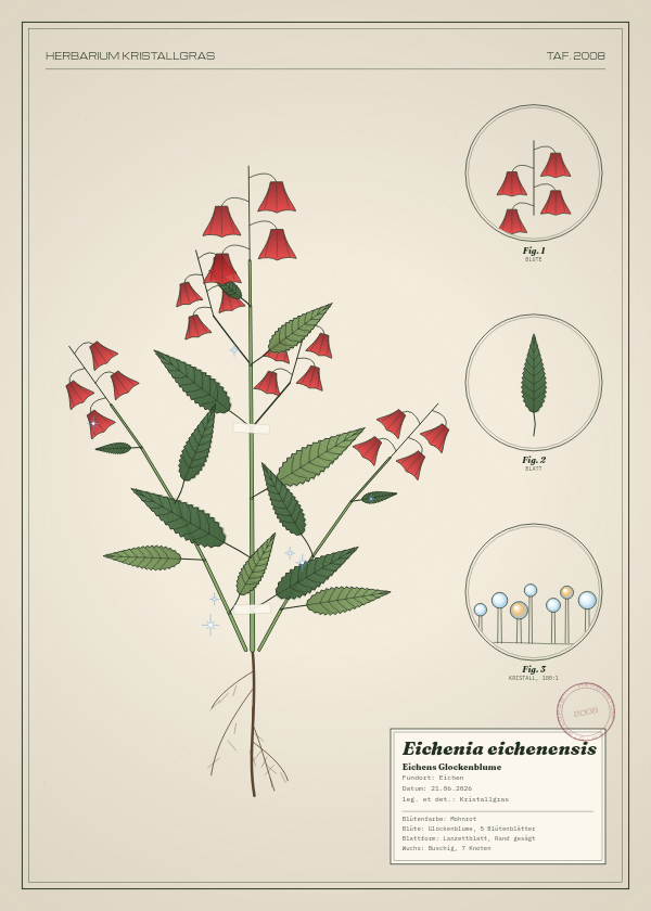 Botanische Tafel: Eichenia eichenensis, eine erfundene Pflanze aus Eichen, gezeichnet wie in einem alten Pflanzenatlas