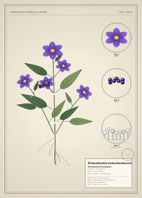 Botanische Tafel: Eichenbachia eichenbachensis, eine erfundene Pflanze aus Eichenbach, gezeichnet wie in einem alten Pflanzenatlas