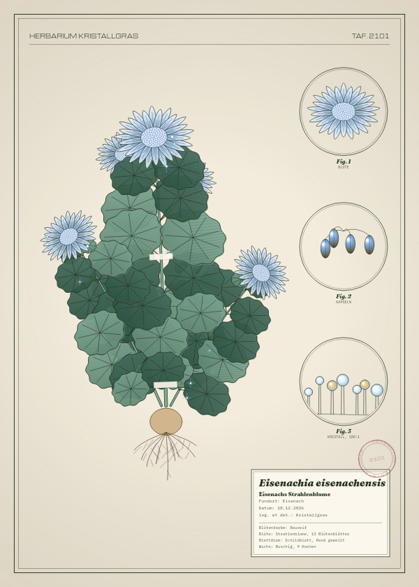 Botanische Tafel: Eisenachia eisenachensis, eine erfundene Pflanze aus Eisenach, gezeichnet wie in einem alten Pflanzenatlas