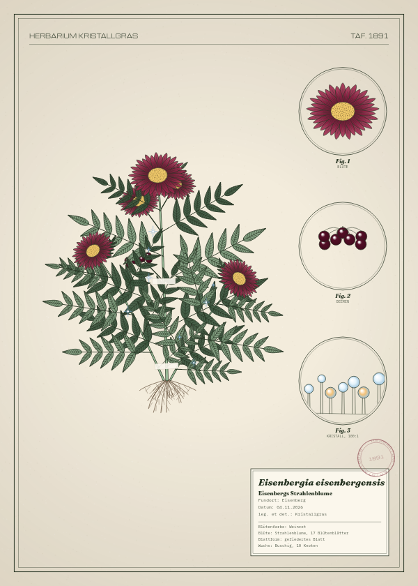 Botanische Tafel: Eisenbergia eisenbergensis, eine erfundene Pflanze aus Eisenberg, gezeichnet wie in einem alten Pflanzenatlas