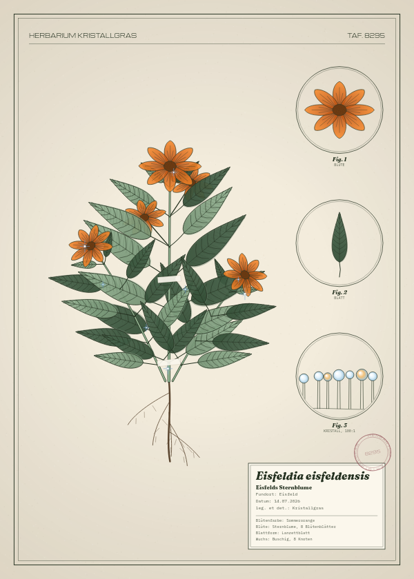 Botanische Tafel: Eisfeldia eisfeldensis, eine erfundene Pflanze aus Eisfeld, gezeichnet wie in einem alten Pflanzenatlas