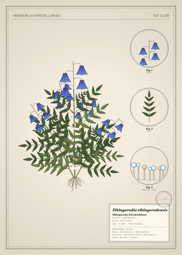 Botanische Tafel: Elbingerodia elbingerodensis, eine erfundene Pflanze aus Elbingerode, gezeichnet wie in einem alten Pflanzenatlas