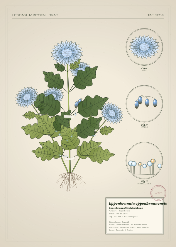 Botanische Tafel: Eppenbrunnia eppenbrunnensis, eine erfundene Pflanze aus Eppenbrunn, gezeichnet wie in einem alten Pflanzenatlas
