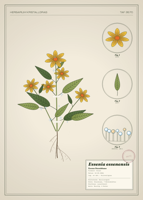 Botanische Tafel: Essenia essenensis, eine erfundene Pflanze aus Essen, gezeichnet wie in einem alten Pflanzenatlas
