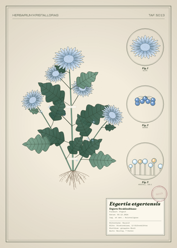 Botanische Tafel: Etgertia etgertensis, eine erfundene Pflanze aus Etgert, gezeichnet wie in einem alten Pflanzenatlas