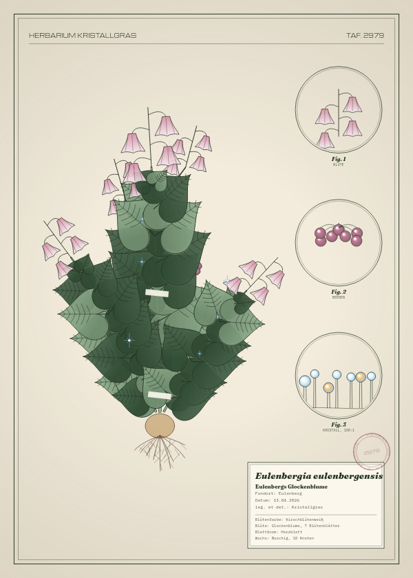 Botanische Tafel: Eulenbergia eulenbergensis, eine erfundene Pflanze aus Eulenberg, gezeichnet wie in einem alten Pflanzenatlas