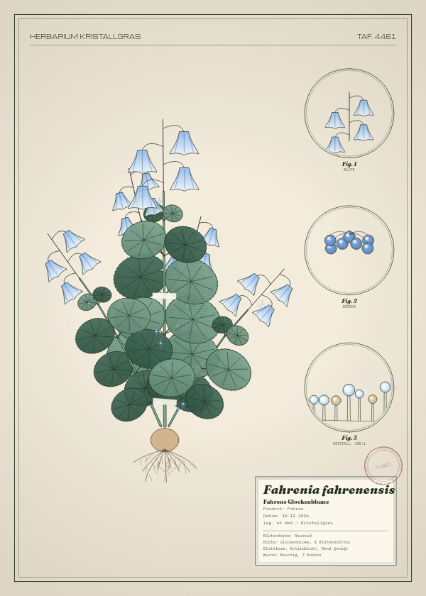 Botanische Tafel: Fahrenia fahrenensis, eine erfundene Pflanze aus Fahren, gezeichnet wie in einem alten Pflanzenatlas