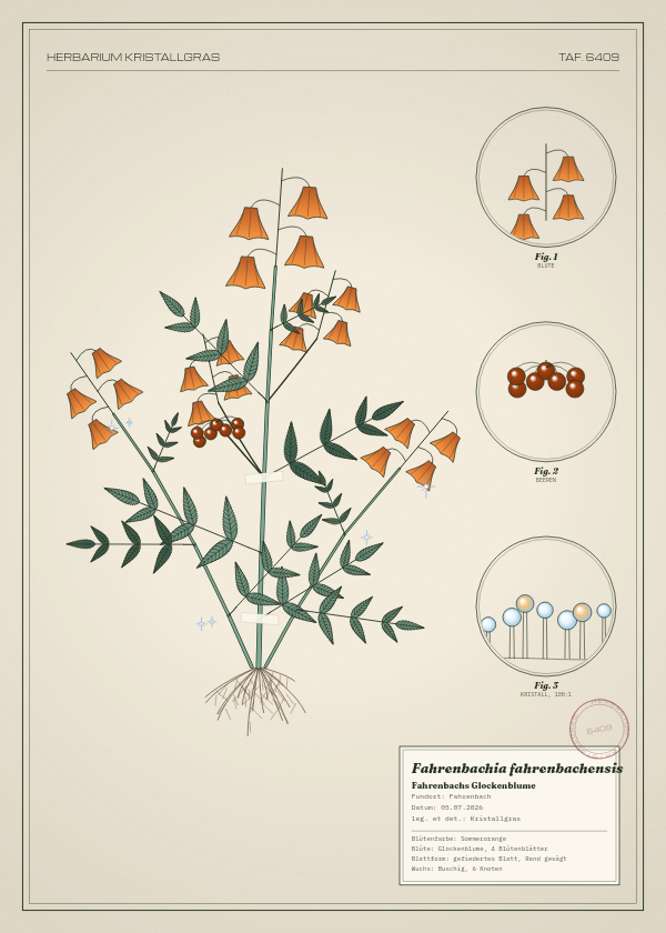 Botanische Tafel: Fahrenbachia fahrenbachensis, eine erfundene Pflanze aus Fahrenbach, gezeichnet wie in einem alten Pflanzenatlas