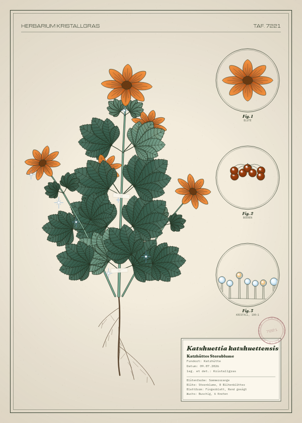 Botanische Tafel: Katzhuettia katzhuettensis, eine erfundene Pflanze aus Katzhütte, gezeichnet wie in einem alten Pflanzenatlas