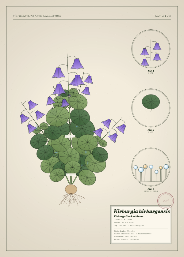 Botanische Tafel: Kirburgia kirburgensis, eine erfundene Pflanze aus Kirburg, gezeichnet wie in einem alten Pflanzenatlas