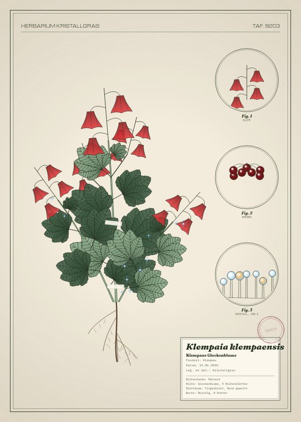 Botanische Tafel: Klempaia klempaensis, eine erfundene Pflanze aus Klempau, gezeichnet wie in einem alten Pflanzenatlas