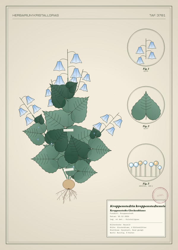 Botanische Tafel: Kroppenstedtia kroppenstedtensis, eine erfundene Pflanze aus Kroppenstedt, gezeichnet wie in einem alten Pflanzenatlas