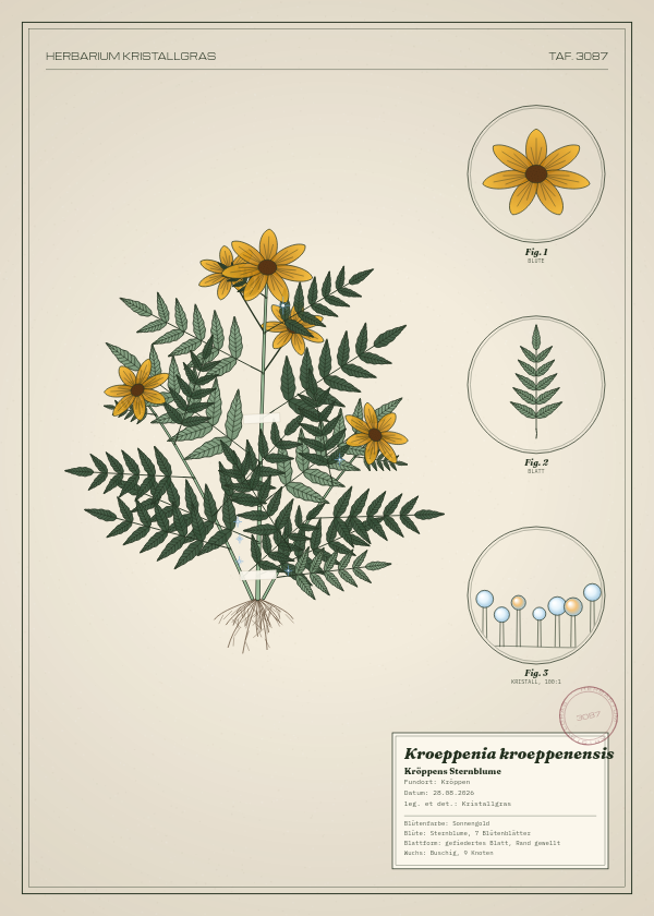 Botanische Tafel: Kroeppenia kroeppenensis, eine erfundene Pflanze aus Kröppen, gezeichnet wie in einem alten Pflanzenatlas