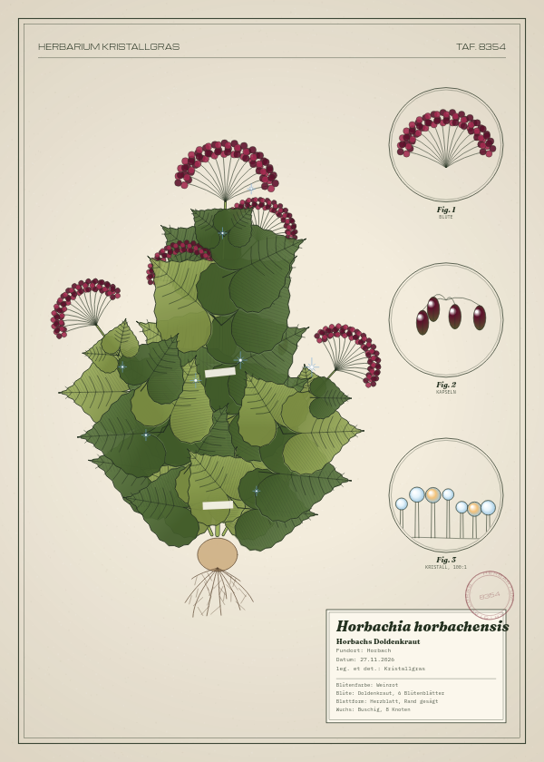 Botanische Tafel: Horbachia horbachensis, eine erfundene Pflanze aus Horbach, gezeichnet wie in einem alten Pflanzenatlas