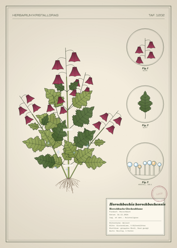 Botanische Tafel: Horschbachia horschbachensis, eine erfundene Pflanze aus Horschbach, gezeichnet wie in einem alten Pflanzenatlas