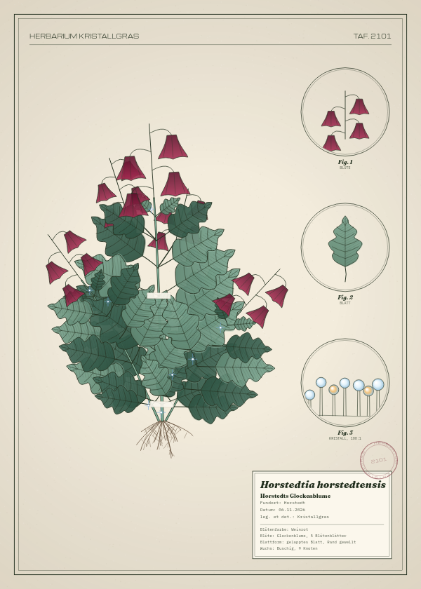 Botanische Tafel: Horstedtia horstedtensis, eine erfundene Pflanze aus Horstedt, gezeichnet wie in einem alten Pflanzenatlas